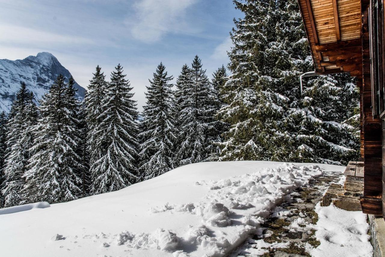 Chalet Lecocq - Griwa Rent Ag Grindelwald Exteriér fotografie