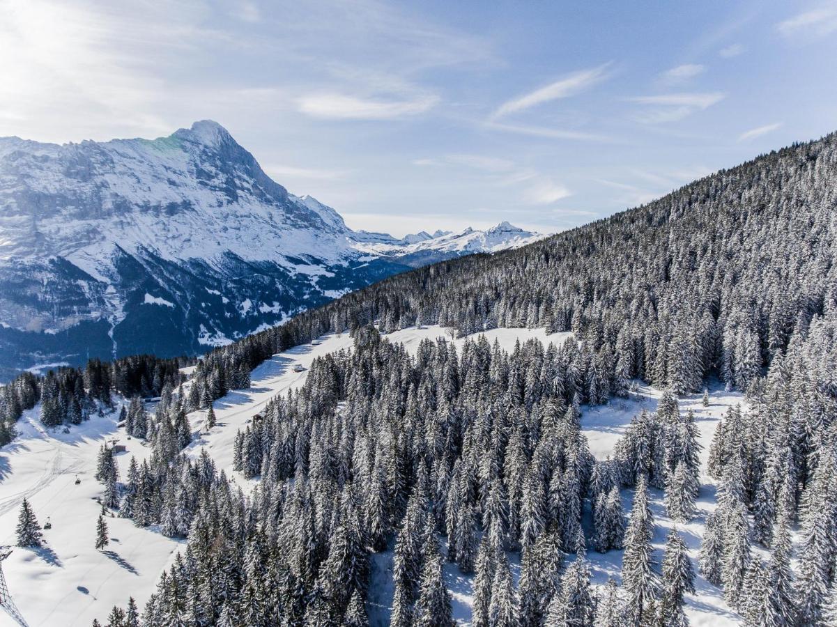 Chalet Lecocq - Griwa Rent Ag Grindelwald Exteriér fotografie