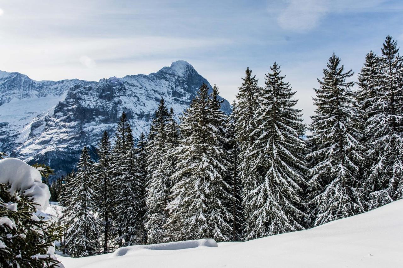 Chalet Lecocq - Griwa Rent Ag Grindelwald Exteriér fotografie